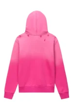 Dion Distressed Hoodie d